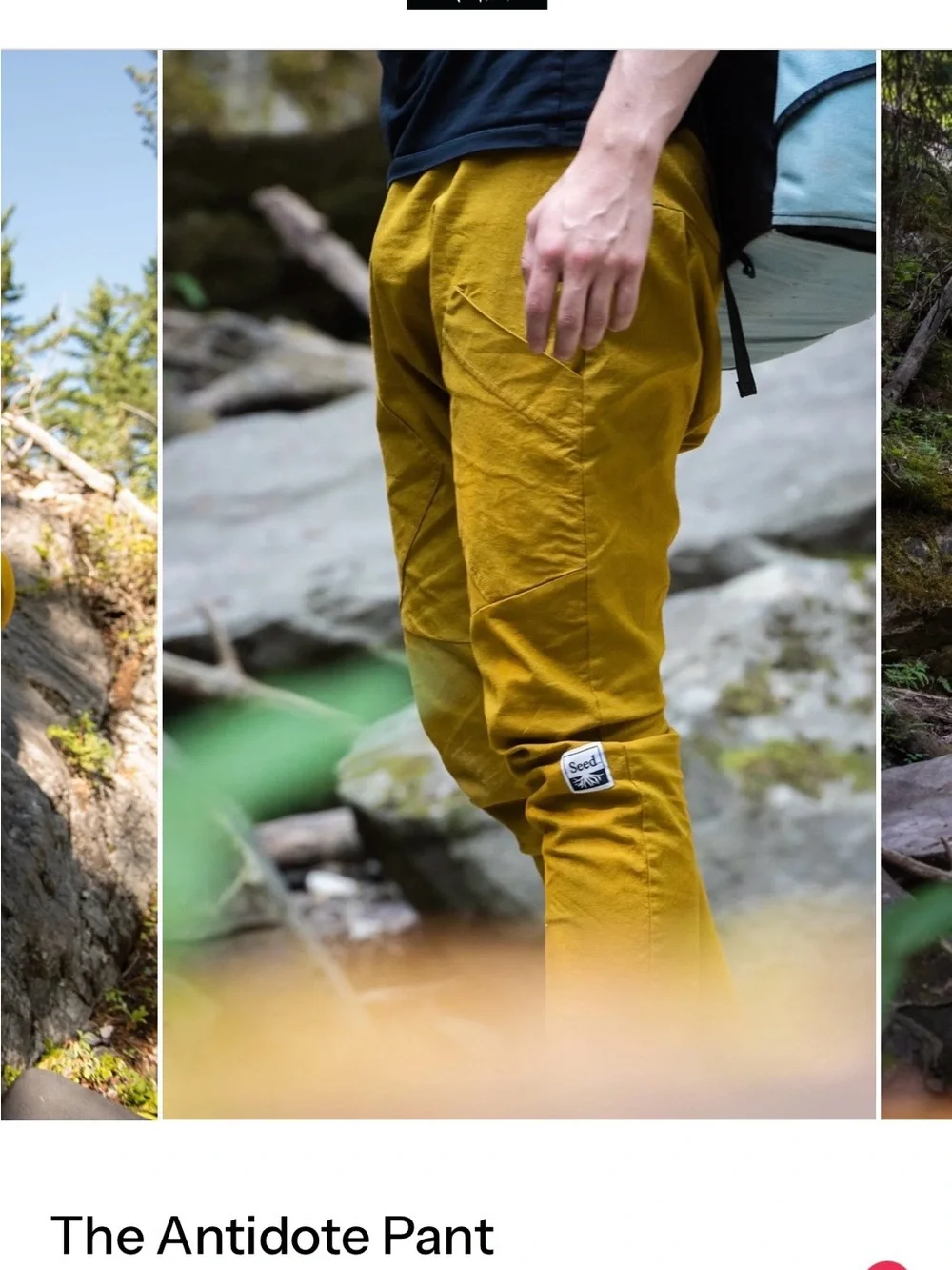 Seed Pants Organic Hemp Joggers - Mustard. Unisex